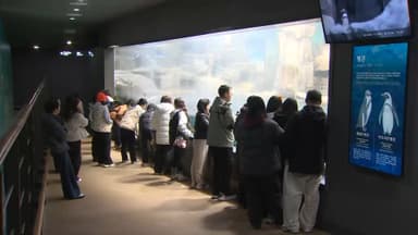 제주 관광객들도 추위 피해 실내로…아쿠아리움 '북적'