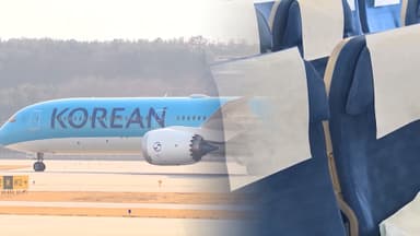 '좌석 수' 줄인 대한항공 이행강제금…마일리지 통합안 '보완' 요구