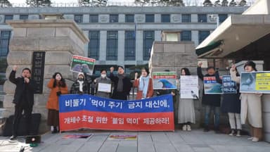"비둘기 먹이 금지는 동물학대"…동물단체, 헌법소원