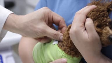 전국 동물병원 초진 진찰료 평균 1만520원…대전이 가장 비싸