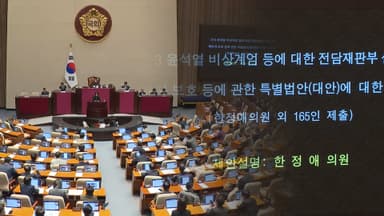 '내란재판부법' 처리 임박…여야, 특검법 추진 속도
