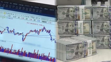 고환율에…서학개미 국장 복귀시 양도세 1년 면제