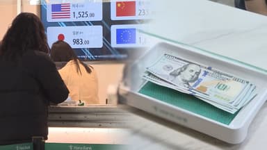 "해외여행 때 10만원 정도만 환전"…유학생·주재원도 '한숨'