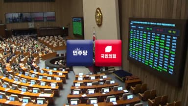 민주 '졸속 입법' 비판…국힘 '전략 부재' 한계