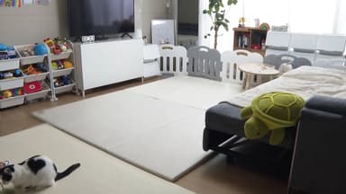 "층간소음 어린이 매트 성능 비슷…큰 충격에 효과 적어"