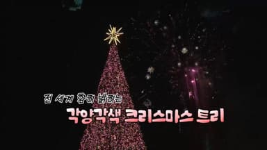[영상구성] 전 세계 밝힌 크리스마스 트리