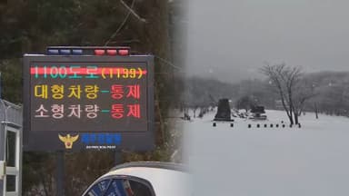 제주 산지, 대설·강풍…'버스 우회·나무 뽑혀'