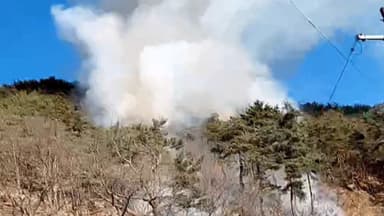 맹추위 속 전국서 산불 잇따라…쓰레기 소각 '실화' 원인