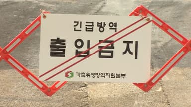 충남 아산 육용종계 농장서 고병원성 조류인플루엔자