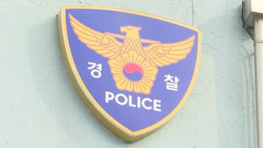 "죽여달랬다"…지체장애 외조모 살해 30대 영장