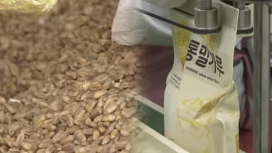 자급률 2% '밀'…산업 밸리화단지로 돌파구찾는다