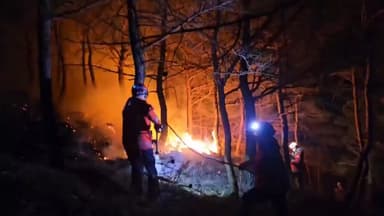강원 고성 야산서 산불…1시간여 만에 진화