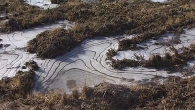 [속보] 강원산간 한파경보…경기북부·강원내륙 한파주의보