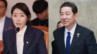 민주당 "강선우에 멘붕…국힘에나 있을 일"