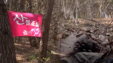 동쪽 당분간 산불 '비상'…건조특보에 강풍 겹쳐