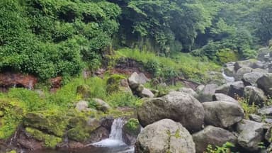 '한라산 어리목계곡 화산암층·용천수' 천연기념물로