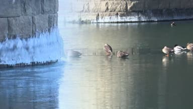 올겨울 첫 한강 결빙 관측…평년보다 7일 빨라