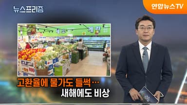 [탐사보도 뉴스프리즘] 고환율에 물가도 들썩…새해에도 비상