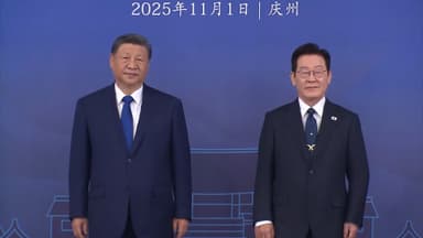 [속보] 이 대통령, 시진핑과 두 번째 정상회담 종료