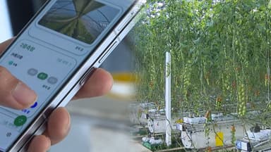 농협 '보급형 스마트팜'…청년·중소농 접근 문턱 낮춰