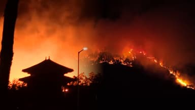 "징크스 현실 될까 우려"…동해안 대형산불 비상