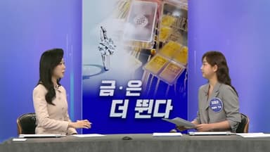 [경제쏙쏙] 금·은 뛰는데 다이아몬드는?…반대로 가는 '개미'