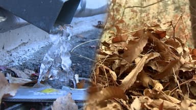 [센터웨더] 오후부터 찬 바람 불며 기온 뚝…동해안 건조경보