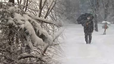 주말 전국 눈비…중부·호남에 '눈 펑펑'