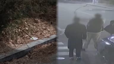 산책 길에 날아든 화살…안전관리 '사각지대'