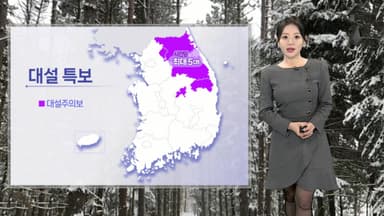 [날씨] 내일까지 전국 대부분 많은 눈…최대 20㎝ 온다