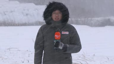 강원 남부·산지 20㎝ 폭설…곳곳에 피해