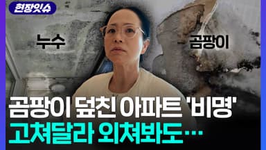 [현장잇슈] 곰팡이 장악한 아파트 가보니 '비명'…"고쳐달라" 외쳤더니 황당한 일이