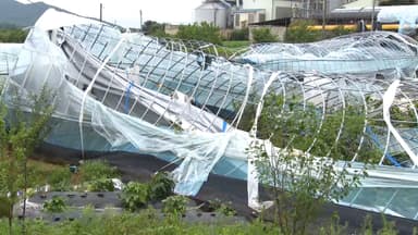 초속 20m 태풍급 강풍…피해 예방 요령은?