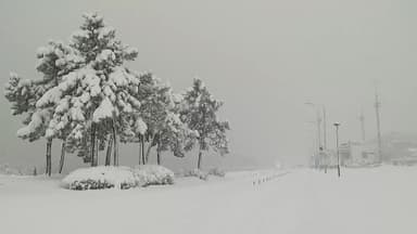 목포·무안 대설경보…강원산간 체감 -31도 한파