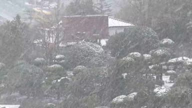 전남 대설특보 속 많은 눈…내륙 강한 한파 기승