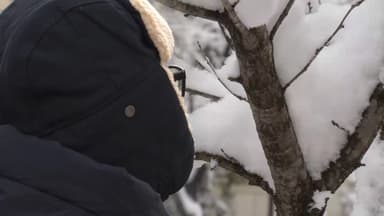 오후부터 한파 물러가…중부 최고 8㎝ 대설