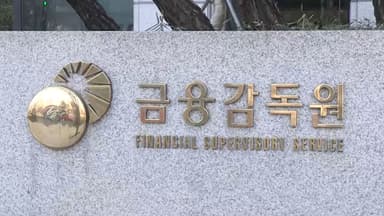 금감원, 쿠팡페이·파이낸셜 검사…정보보호·금리 점검