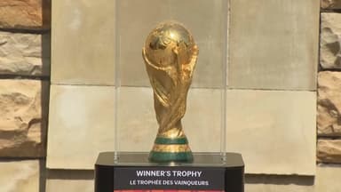 FIFA 월드컵 트로피, 4년 만에 한국 온다…16~17일 공식 투어