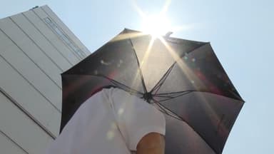 2025년 역대 세 번째로 더웠다…지구온난화 뚜렷