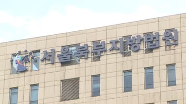 '최태원 허위사실 유포' 노소영 측근, 징역형 집행유예