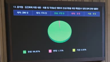 '2차 특검법' 본회의 통과…최장 170일 수사