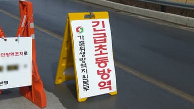 강릉서 돼지열병 발생…이동 중지 명령