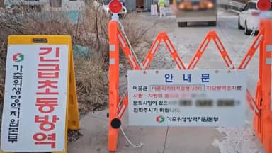 강릉서 돼지열병 발생…2만여마리 살처분 예정