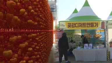"지리산이 빚은 명품 간식"…함양서 고종시 곶감 축제