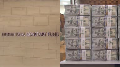 IMF "한국, 환리스크 달러자산 과도한 수준"