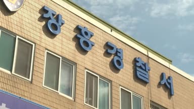 장흥에서 전직 군의원 벌목한 나무에 깔려 숨져