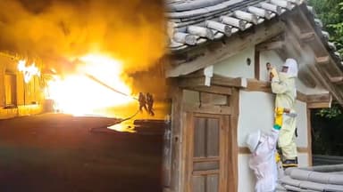 화재출동↑ 벌집제거↓…"재난현장도 기후변화 영향"