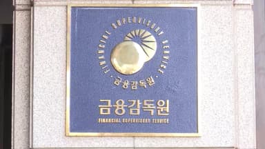 금감원, '달러상품 판매' 은행·보험사 줄소환