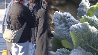 [속보] 서울 등 전국 대부분 한파특보 ··· 내일부터 강추위