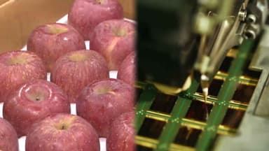 12월 생산자물가 0.4%↑…농수산품 오름세 주도